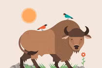 Tuần cuối tháng 4, những con giáp “cảnh giác” tiền bạc đến bất ngờ