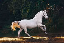 Cuối tháng 4, ba con giáp một bước thăng tiến, hai bước lên tột đỉnh vinh quang