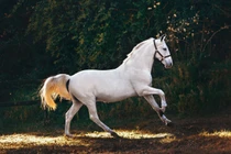 Cuối tháng 4, ba con giáp một bước thăng tiến, hai bước lên tột đỉnh vinh quang