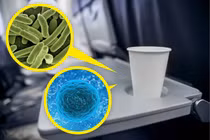 Tiếp viên chia sẻ bí quyết đi máy bay an toàn kỳ nghỉ lễ