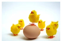 Dự báo tuổi phát tài phát lộc của 12 con giáp