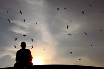 Làm sao chuyển hóa tâm bất kính?