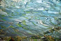 Những “thiên đường hạ giới” tuyệt đẹp ít biết ở Trung Quốc 