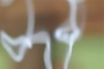 Thắp hương ngày Tết thế nào mới đúng cách?