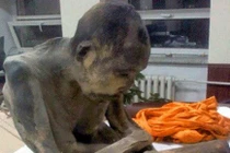 Kinh ngạc cách ướp xác tiến tới nhập cõi Niết bàn của Phật giáo 