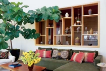 Những vị trí trồng cây phong thủy hút tài lộc trong nhà