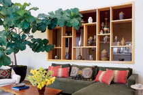 Những vị trí trồng cây phong thủy hút tài lộc trong nhà