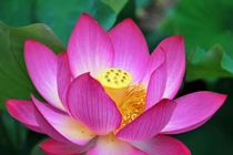 Đừng để ngộ nhận việc tu hành