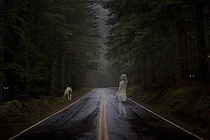 10 nơi tuyệt đối không tới vào ban đêm để tránh âm khí