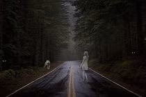 10 nơi tuyệt đối không tới vào ban đêm để tránh âm khí