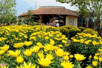 Tuyệt tác nhà cổ 200 năm tuổi nổi tiếng nhất Lý Sơn