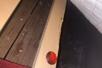 Chính quyền bồi thường cho bà bầu vì nhà quá... nhiều chuột