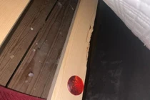 Chính quyền bồi thường cho bà bầu vì nhà quá... nhiều chuột