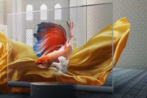 Mãn nhãn ngắm TV màn hình trong suốt đầu tiên trên thế giới