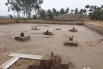 Bãi cọc Cao Quỳ ở Hải Phòng: Đồng vị Carbon C14 xác định niên đại thế nào?