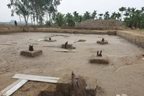 Bãi cọc Cao Quỳ ở Hải Phòng: Đồng vị Carbon C14 xác định niên đại thế nào?