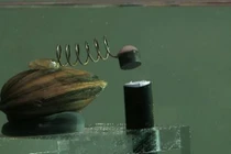 8 con trai biển siêu quyền lực kiểm soát nguồn nước của triệu dân