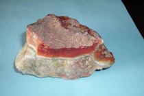 10 món đồ online bán giá “cắt cổ” khiến cả thế giới tranh nhau 