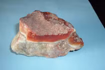 10 món đồ online bán giá “cắt cổ” khiến cả thế giới tranh nhau 