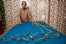 Top 10 kỷ lục điên rồ nhất của con người từng được ghi nhận