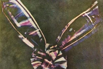 Bức ảnh đầu tiên lịch sử nhân loại trông như... tranh trừu tượng 