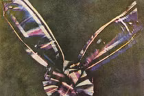 Bức ảnh đầu tiên lịch sử nhân loại trông như... tranh trừu tượng 