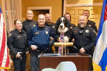 Gặp gỡ những “thị trưởng chó” đông fan nhất nước Mỹ