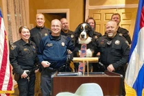 Gặp gỡ những “thị trưởng chó” đông fan nhất nước Mỹ