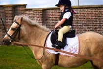 Video: Cô bé hai tuổi trổ tài cưỡi ngựa lão luyện