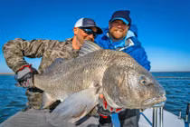 Tiếng cá giao phối khiến dân mất ngủ, rung cả nhà cửa