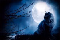 Poster phim 'Linh Miêu' hé lộ những gì?