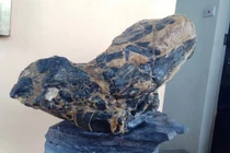 Đào được cục đá màu đen xấu xí, không ngờ vớ được “kho báu“