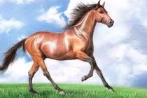 Tử vi ngày 18/8 đến 17/10, 3 con giáp đón mưa lộc trời