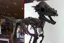 Phát hiện quái thú cổ đại dài 8m, đầu như cá sấu