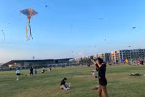 Chiêm ngưỡng cánh đồng diều cực đẹp tại TP.HCM