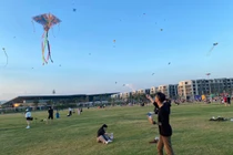 Chiêm ngưỡng cánh đồng diều cực đẹp tại TP.HCM