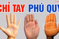 Dù nam hay nữ, bàn tay có 4 điểm này là có số hưởng