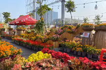 Đi chợ hoa mà chỉ chụp hình, không mua sắm có kỳ không?