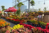 Đi chợ hoa mà chỉ chụp hình, không mua sắm có kỳ không?