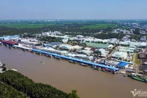 Cảng biển có đội tàu cá đông nhất cả nước