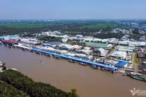 Cảng biển có đội tàu cá đông nhất cả nước