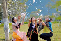 Rực rõ mùa hoa ban nở tại TP Lai Châu