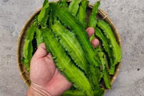 5 loại rau nhiều canxi hơn tôm cá, giá rẻ bán đầy chợ