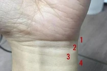 Muốn biết cuộc đời sung sướng hay nghèo khổ, nhìn vào 4 ngấn cổ tay