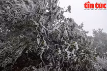 Mẫu Sơn có tuyết, người người háo hức “đi săn“