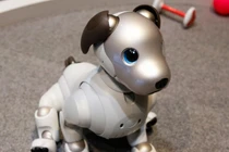 Độc đáo nghi lễ cầu nguyện cho chó robot ở Nhật Bản