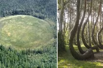 Bí ẩn rừng Hoia Baciu - Tam giác quỷ Bermuda của Romania