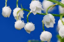 Ai sinh ngày Âm lịch kết thúc bằng 3 số này khí chất hơn người, tiền bạc rủng rỉnh