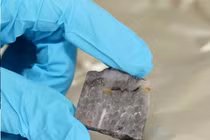 Phát hiện tàn tích của sinh vật từ cách đây 3,5 tỉ năm