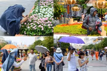 Bá đạo những kiểu “dầm nắng” dạo đường hoa Tết lớn nhất TP HCM